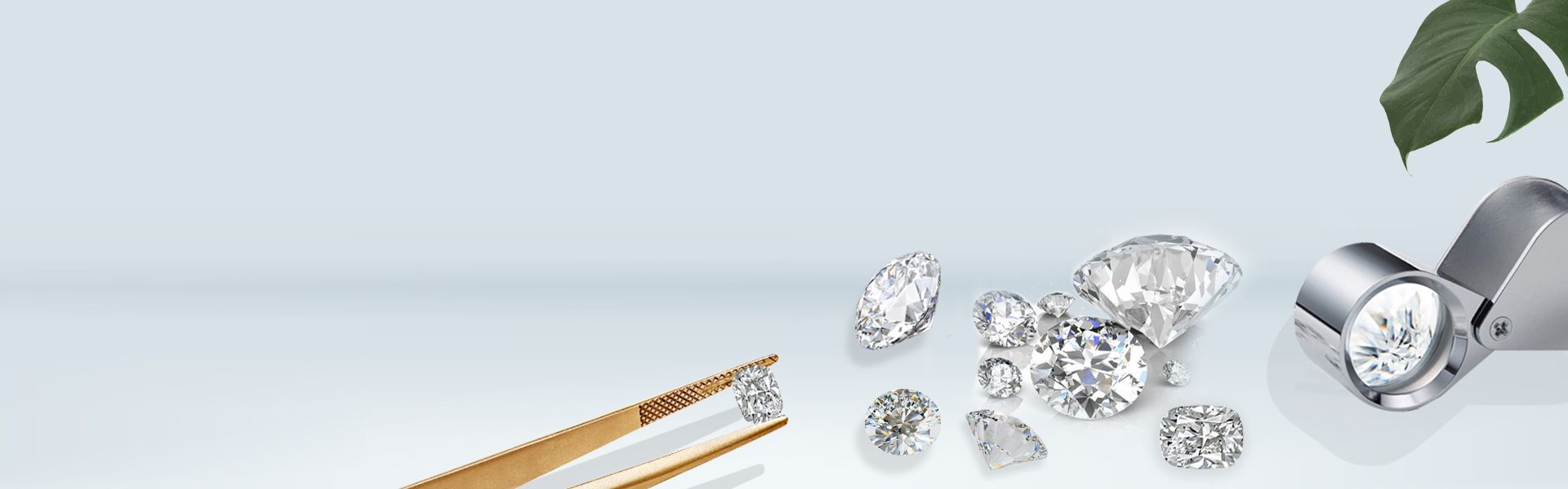 Sparkle and shine