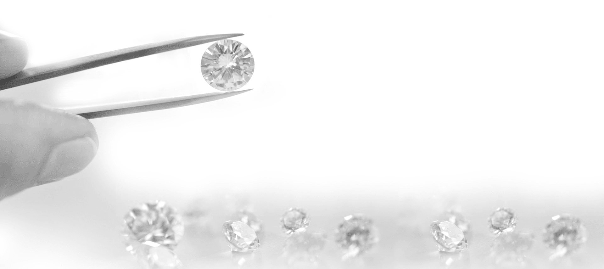 delights banner Image